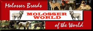 Visit Molosser World for Compelte Molosser ListOmp